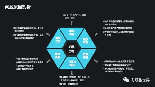 集团数据管控与数据治理解决方案 从数据处理到智能决策